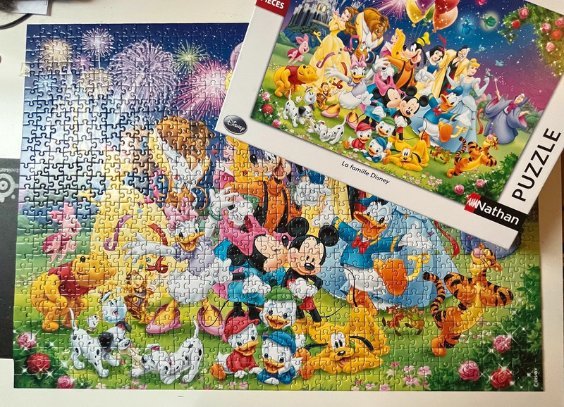 Nathan - Puzzle 1000 pièces - La Famille Disney - Adultes et enfants dès 14  ans - Puzzle de qualité supérieure - Encastrement parfait - Collection Mes